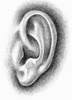 Ear